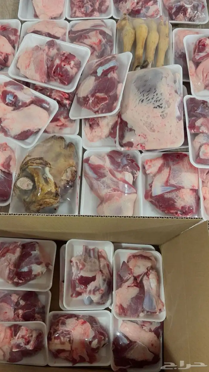 ذبائح حائل 18