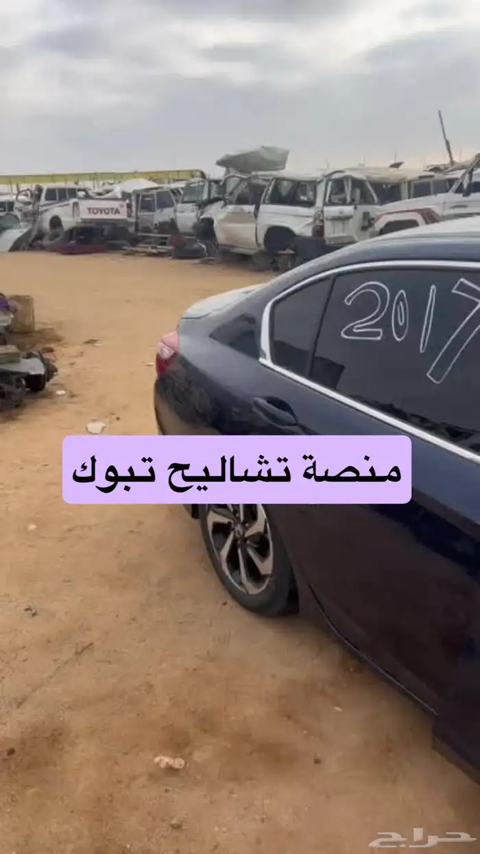 إعلان افتتاح   منصة تشاليح تبوك الرقمية 5