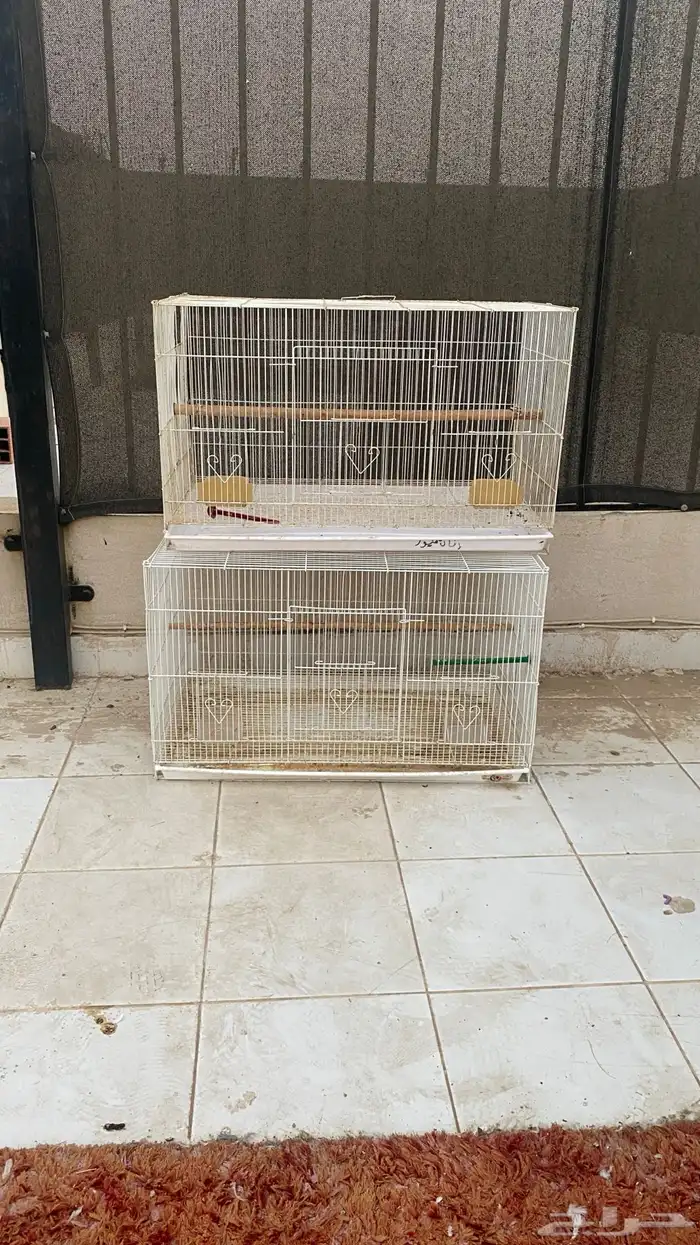 قفص 610 (( تم البيع )) 2