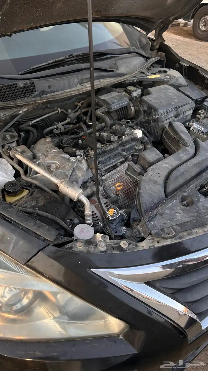 التيما 2015 ستاندر 15