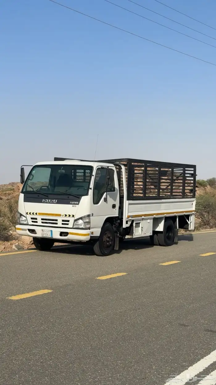 دينه ايسوزو 2008 0