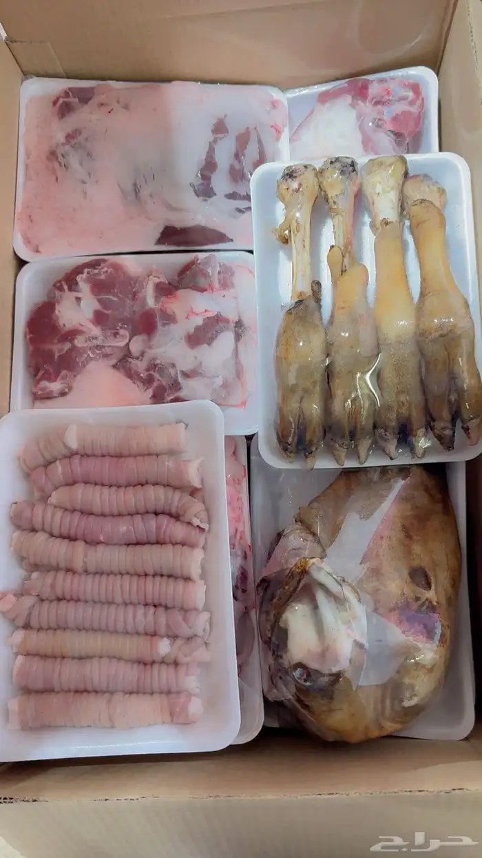 ذبائح حائل 1