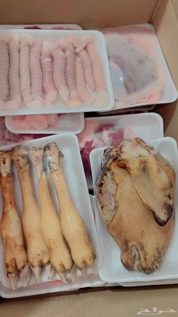 ذبائح حائل 0