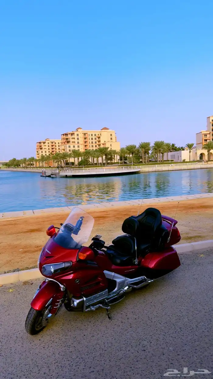 قولد وينق 2012 1