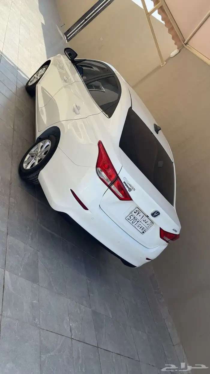 شانجان السفن 2025 1