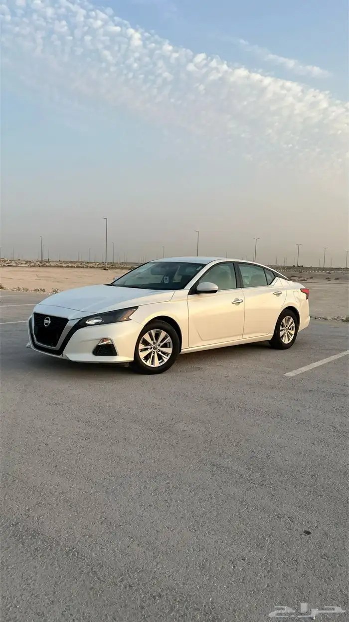 التيما 2022 مالك اول بلد 1