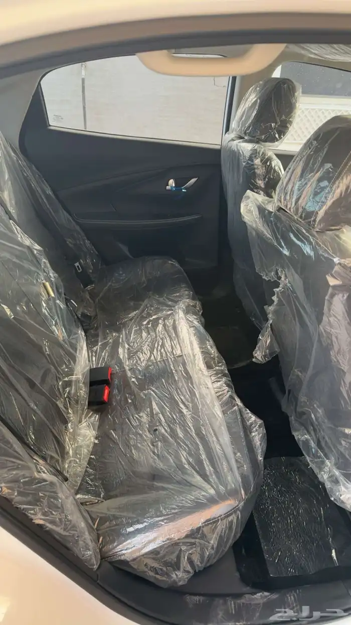 شانجان السفن 2025 6