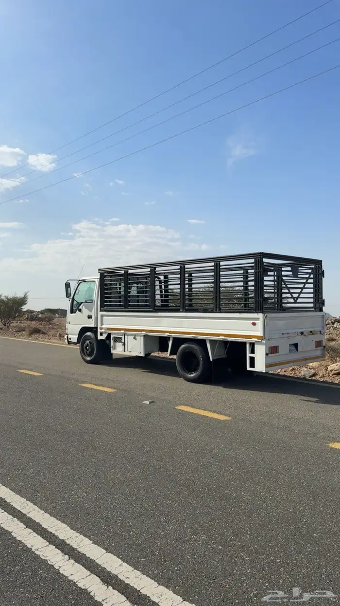 دينه ايسوزو 2008 2