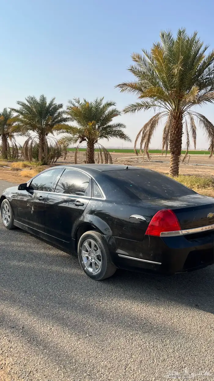 كابرس 2007مسقط 2