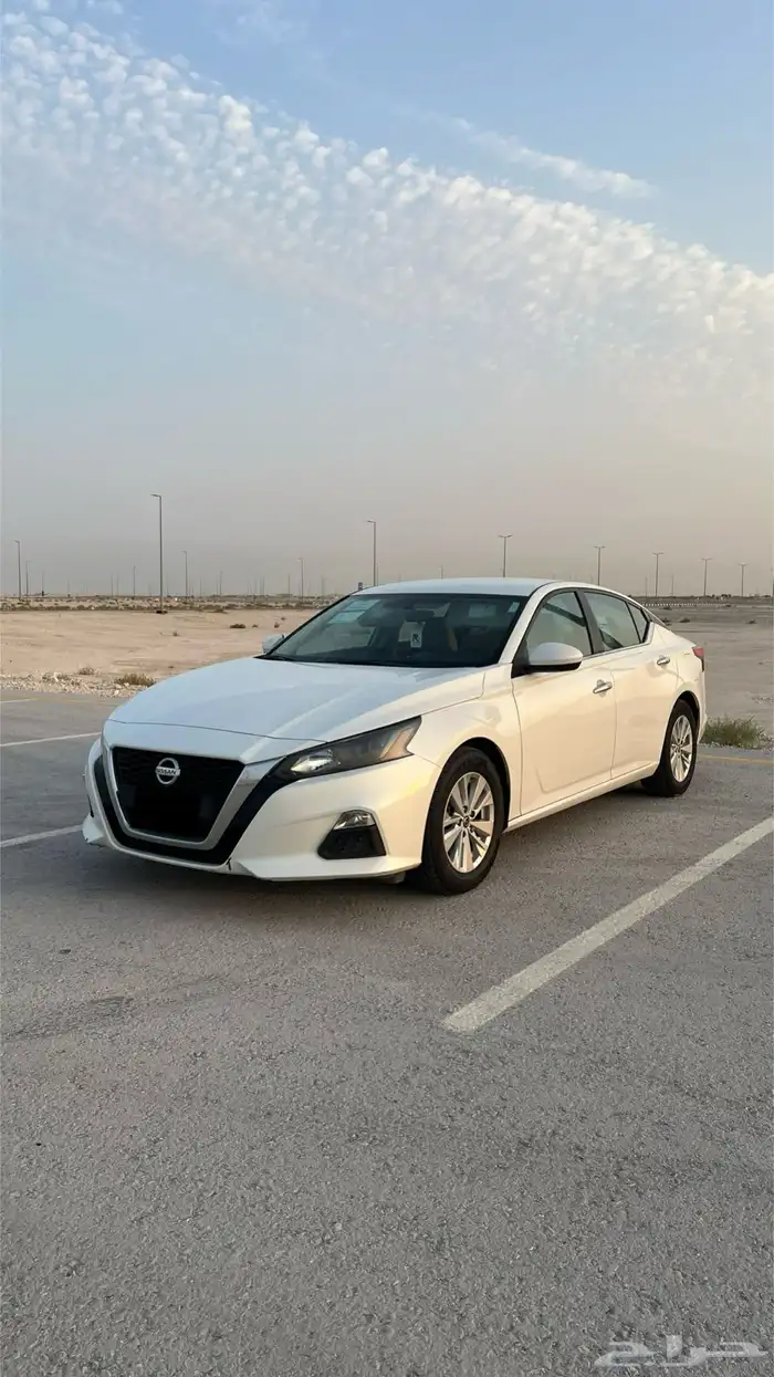 التيما 2022 مالك اول بلد 2