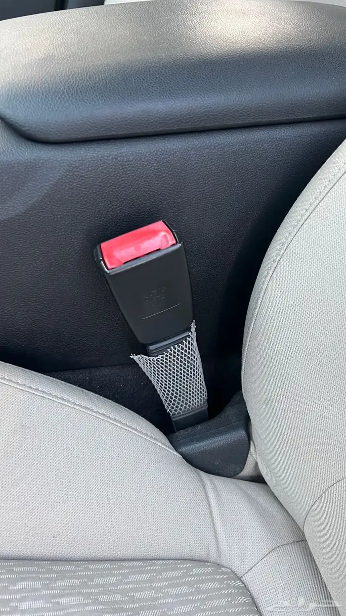 كابرس 2015 شد بلد وممشى قليل 54