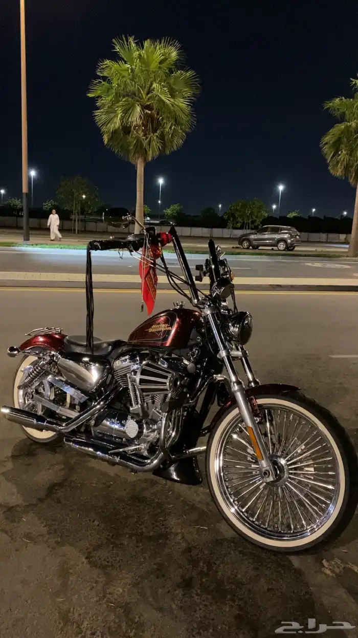 دراجه ناريه من نوع هارلي سبوستر كاستم موديل 2012 7