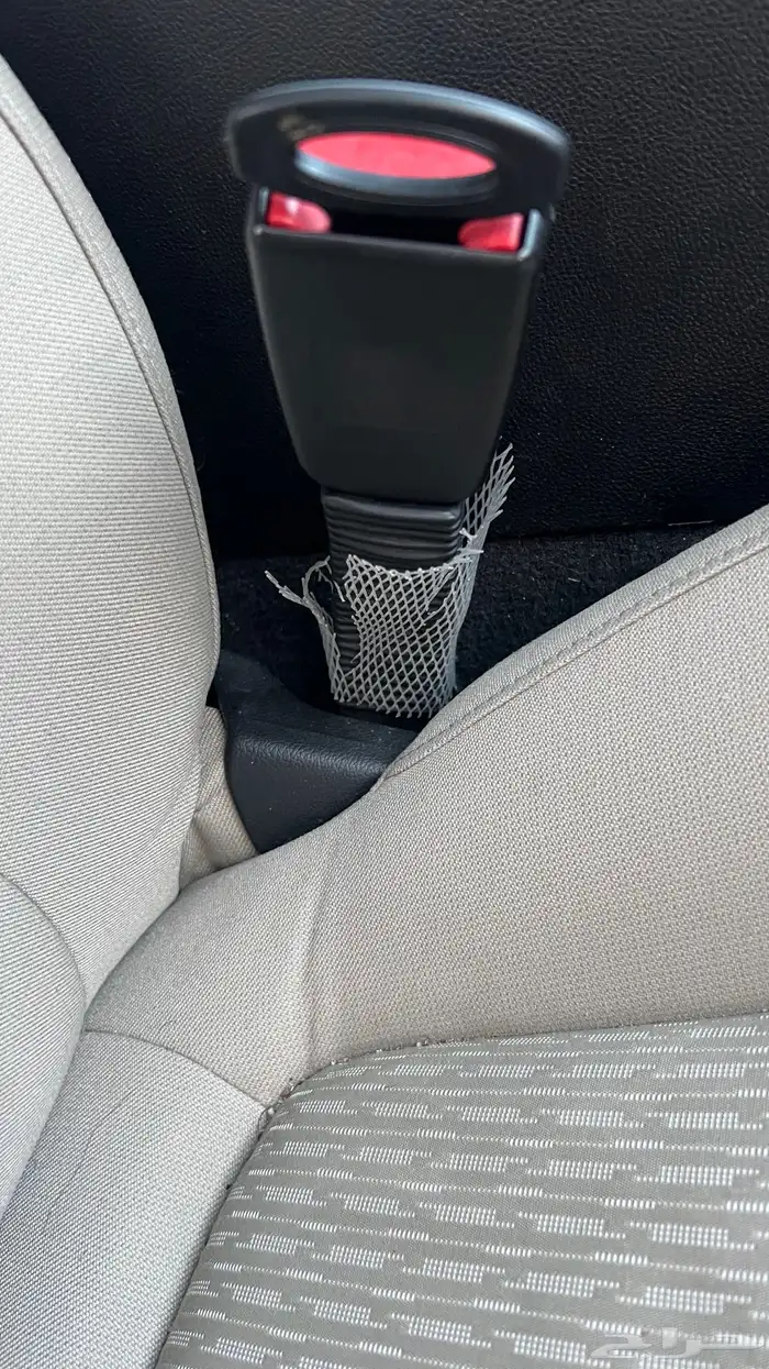 كابرس 2015 شد بلد وممشى قليل 53