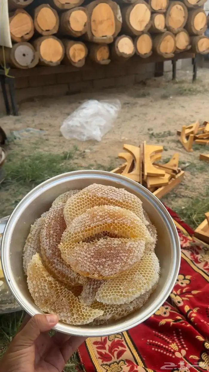 عسل أصلي ومضمون يتوفر لدينا شمع سدر 1