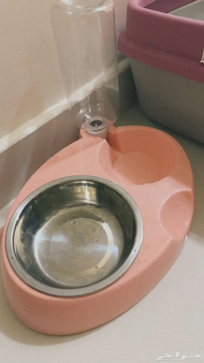 مستلزمات للقطط 0