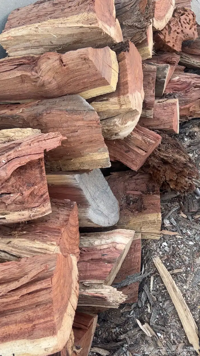 حطب سمر شلايخ 0