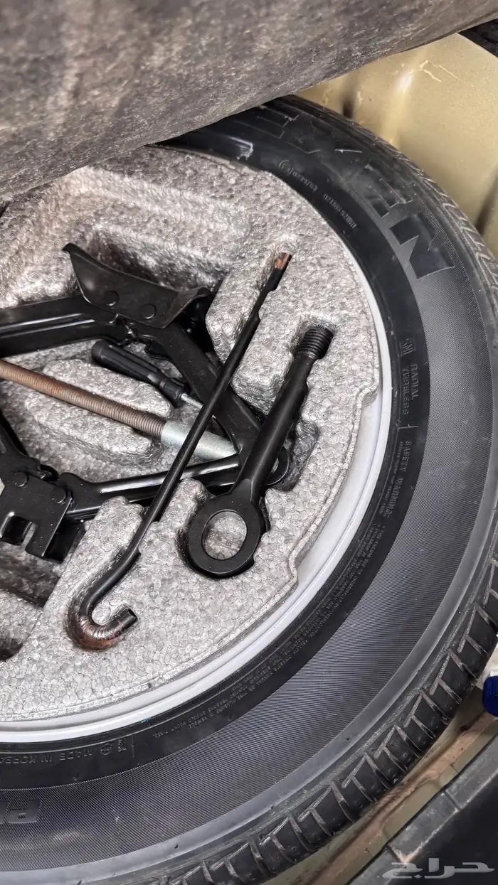 كادينزا 2015 26