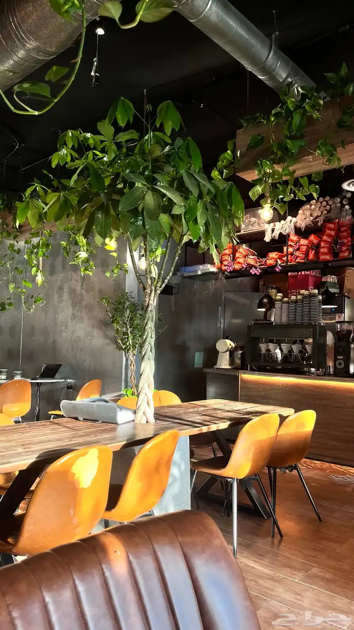 مصورة جوال (سعر خاص للاسر المنتجة) 22