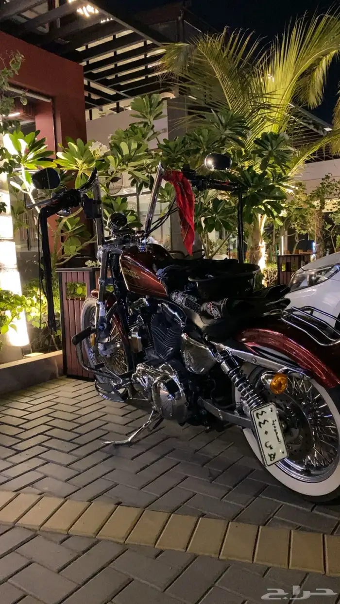 دراجه ناريه من نوع هارلي سبوستر كاستم موديل 2012 1