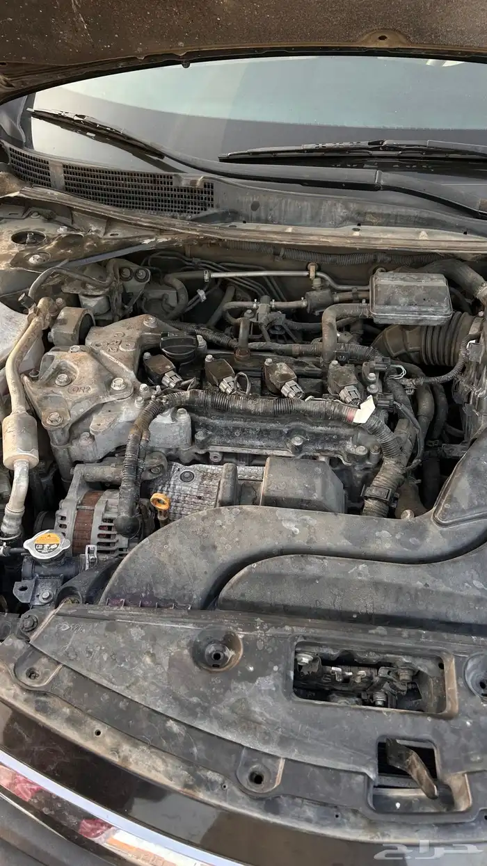 التيما 2015 ستاندر 14