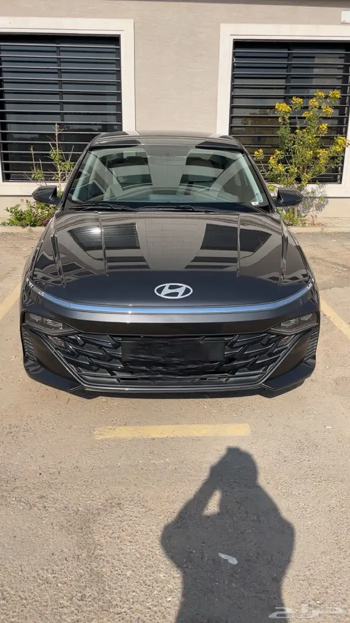 اكسنت 2024 ستاندر بدون تفاويض استخدام شخصي 0