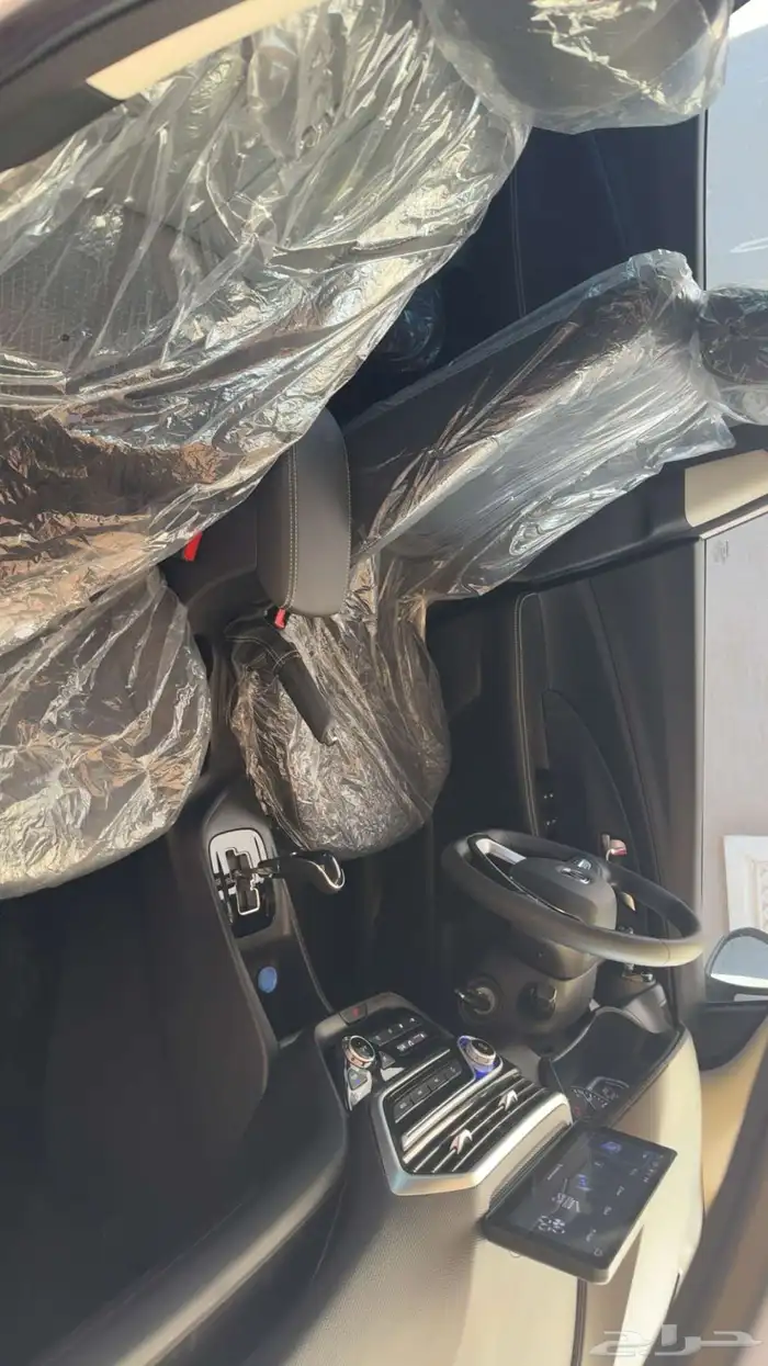 شانجان السفن 2025 7