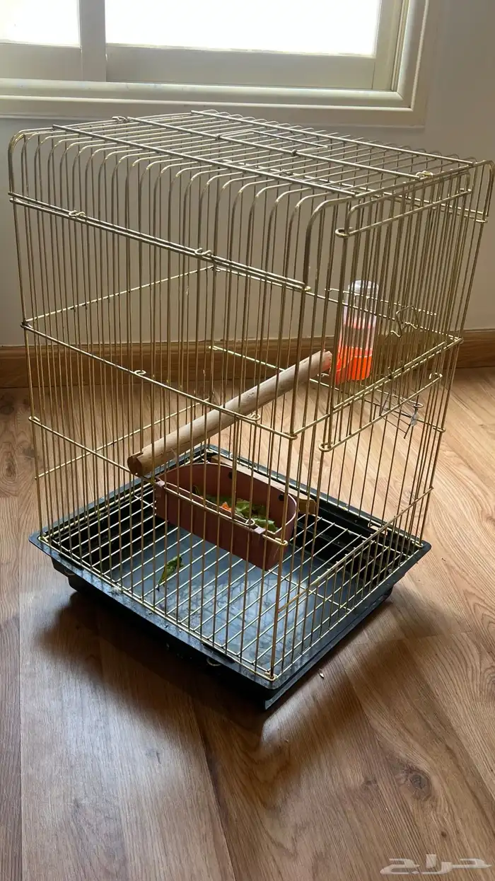 قفص حديد مقوى حجم كبير 1