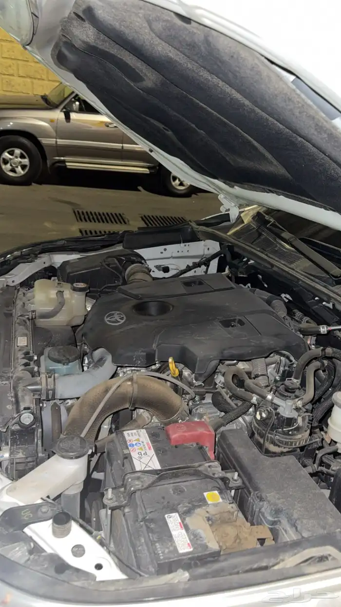 فورشنر مديل 2023 11