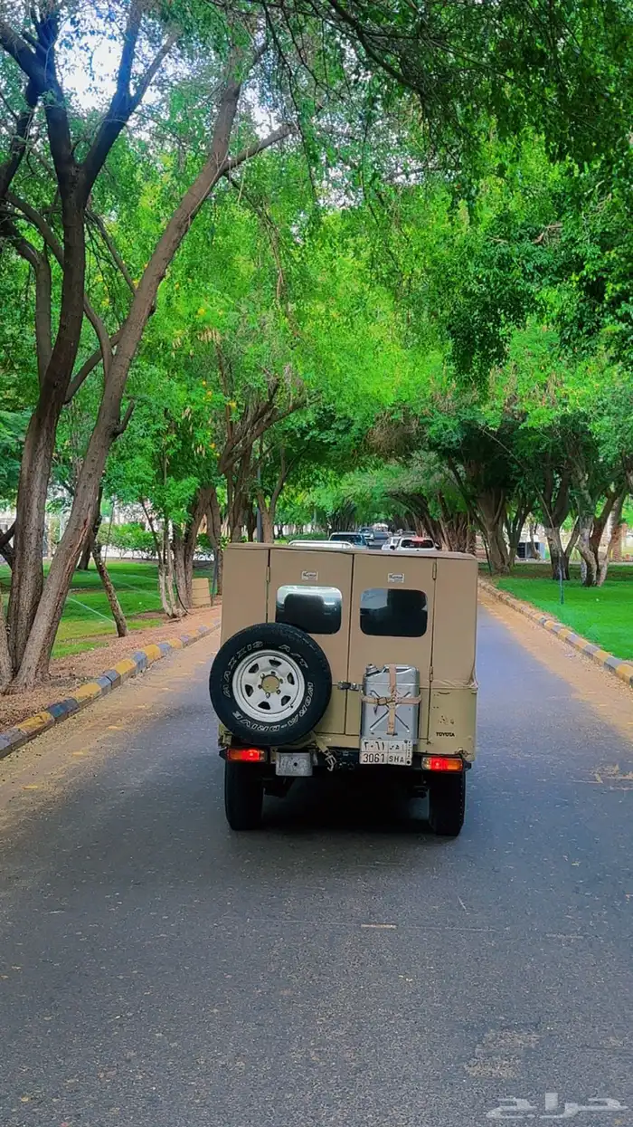 جيب عشاء شراع 81 5