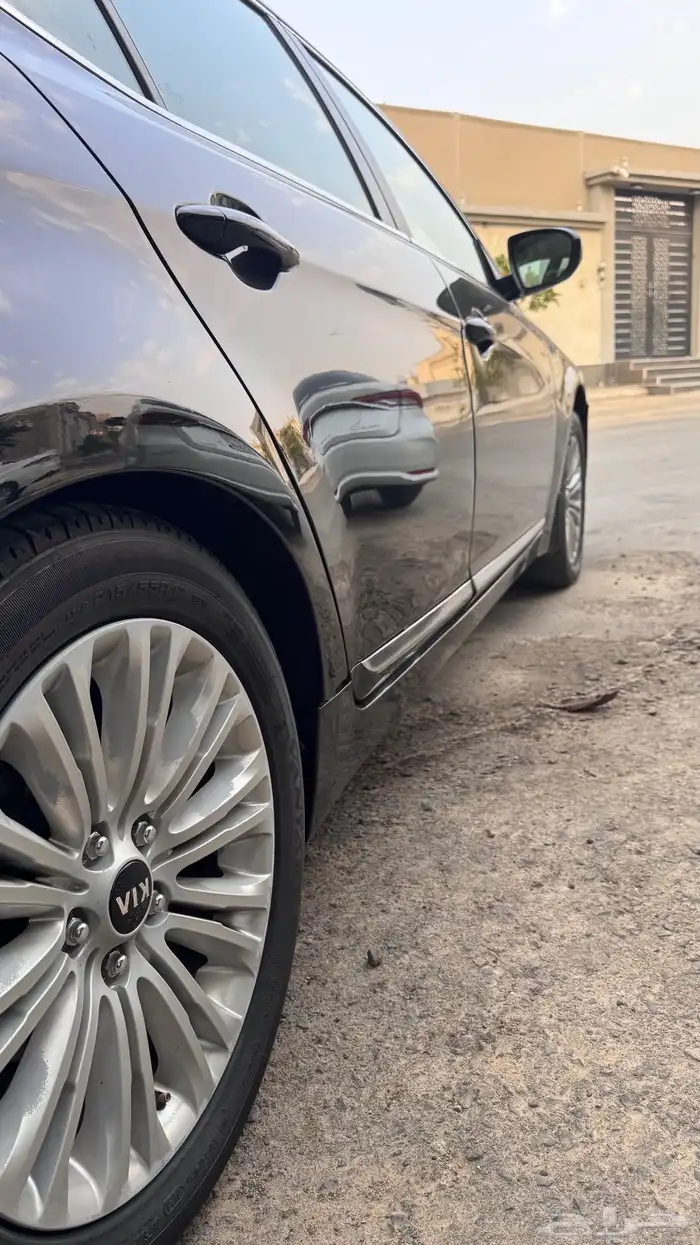 كادينزا 2015 5