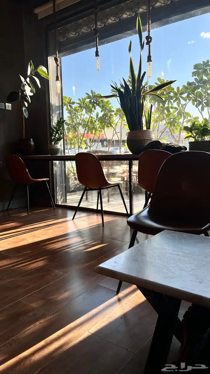 مصورة جوال (سعر خاص للاسر المنتجة) 21