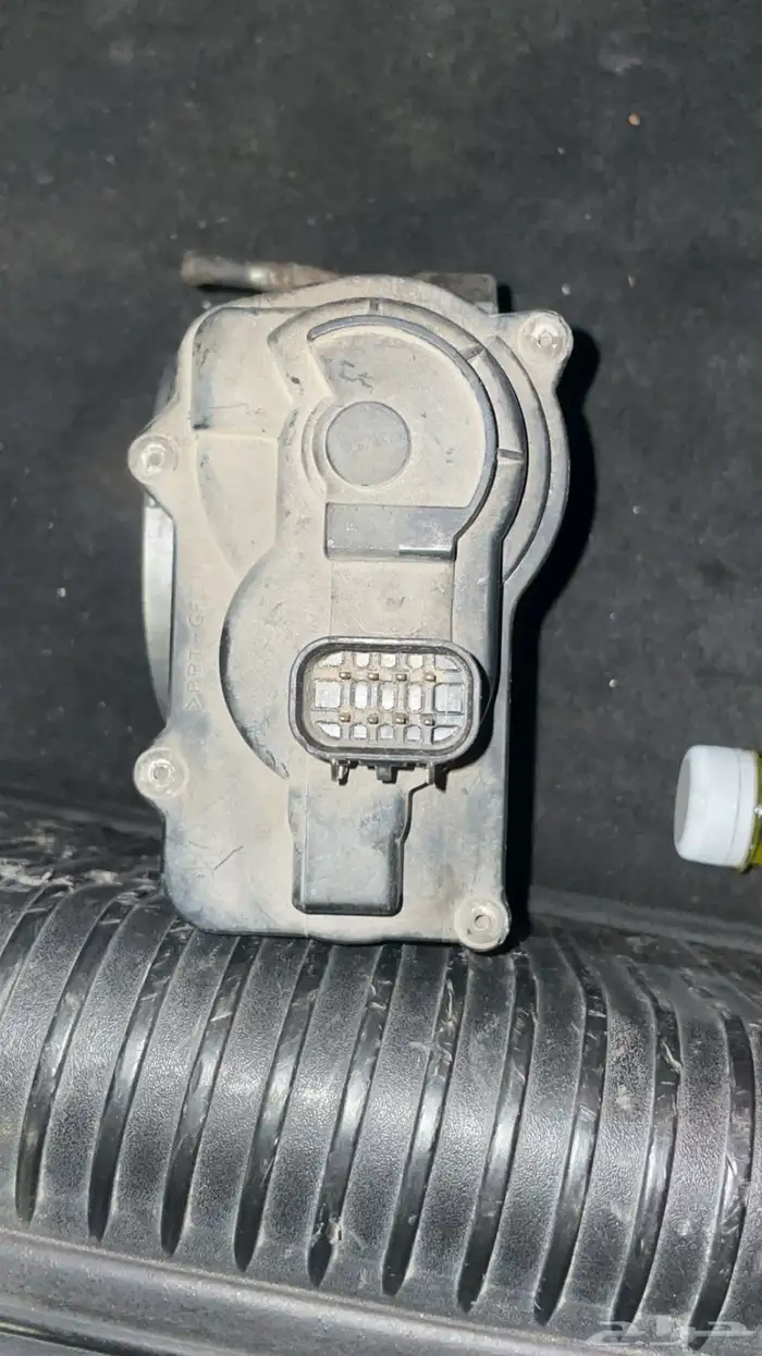 كابرس 2005-2006 1