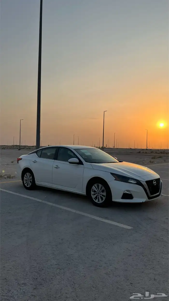 التيما 2022 مالك اول بلد 10