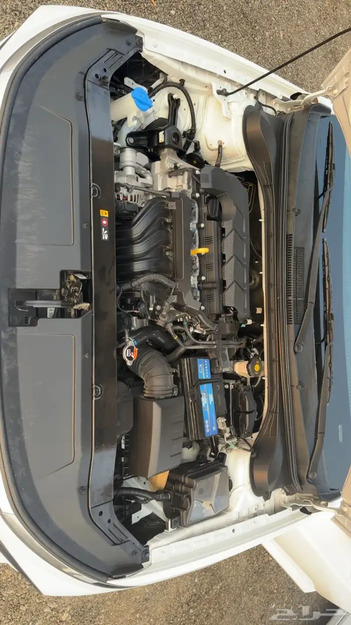 اكسنت فيليت 1