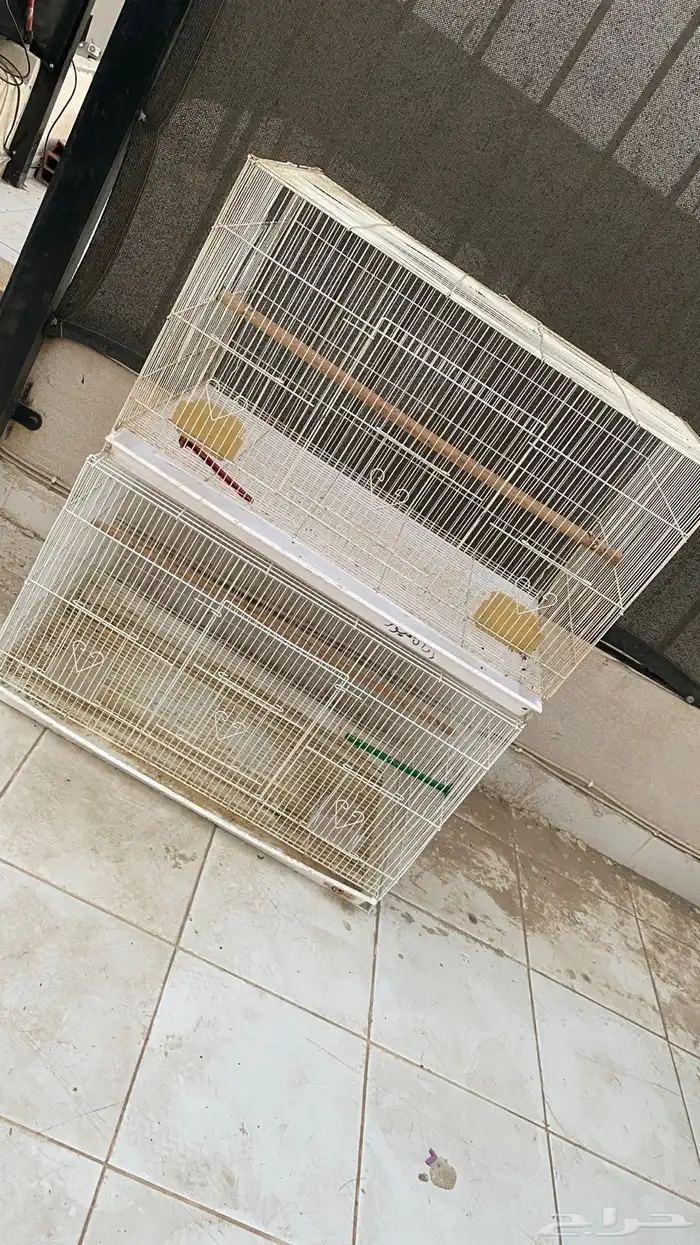 قفص 610 (( تم البيع )) 0