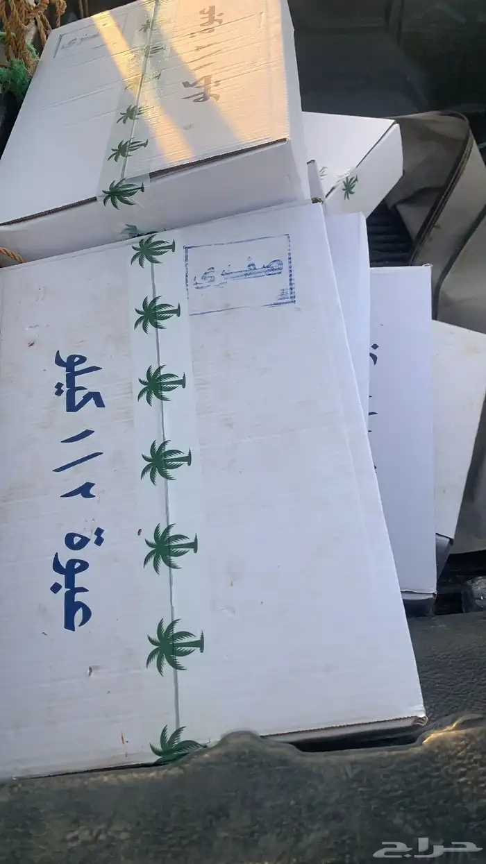 تنك وكراتين عامي 2