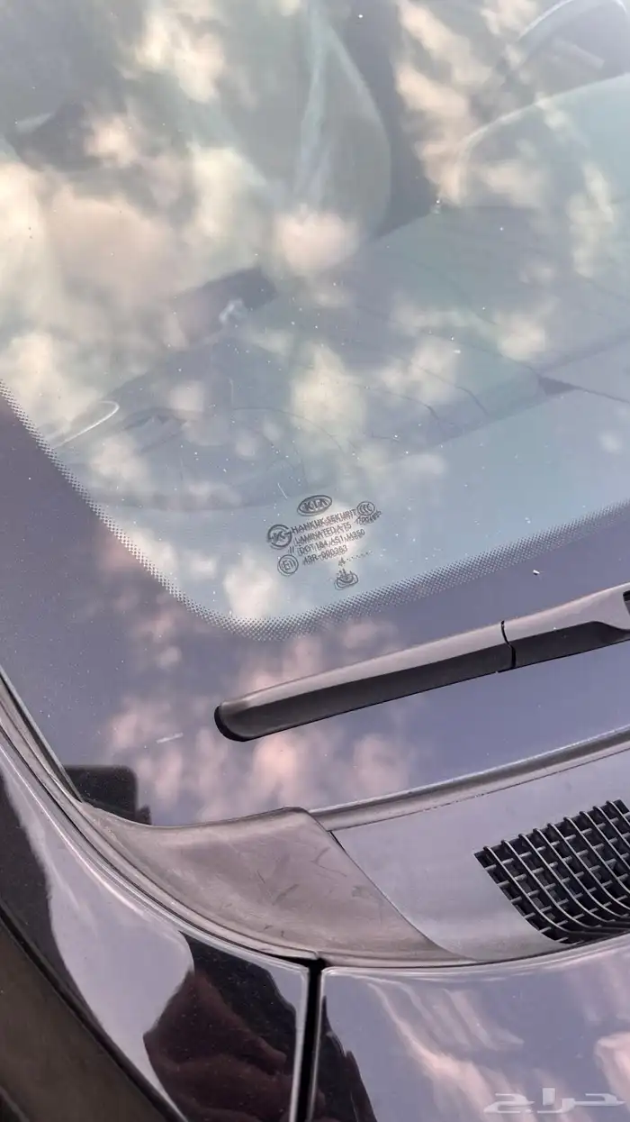 كادينزا 2015 7