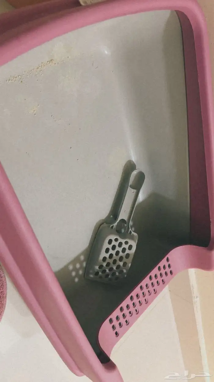 مستلزمات للقطط 1