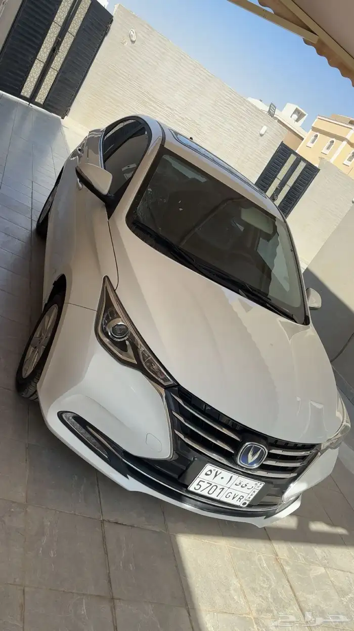 شانجان السفن 2025 3