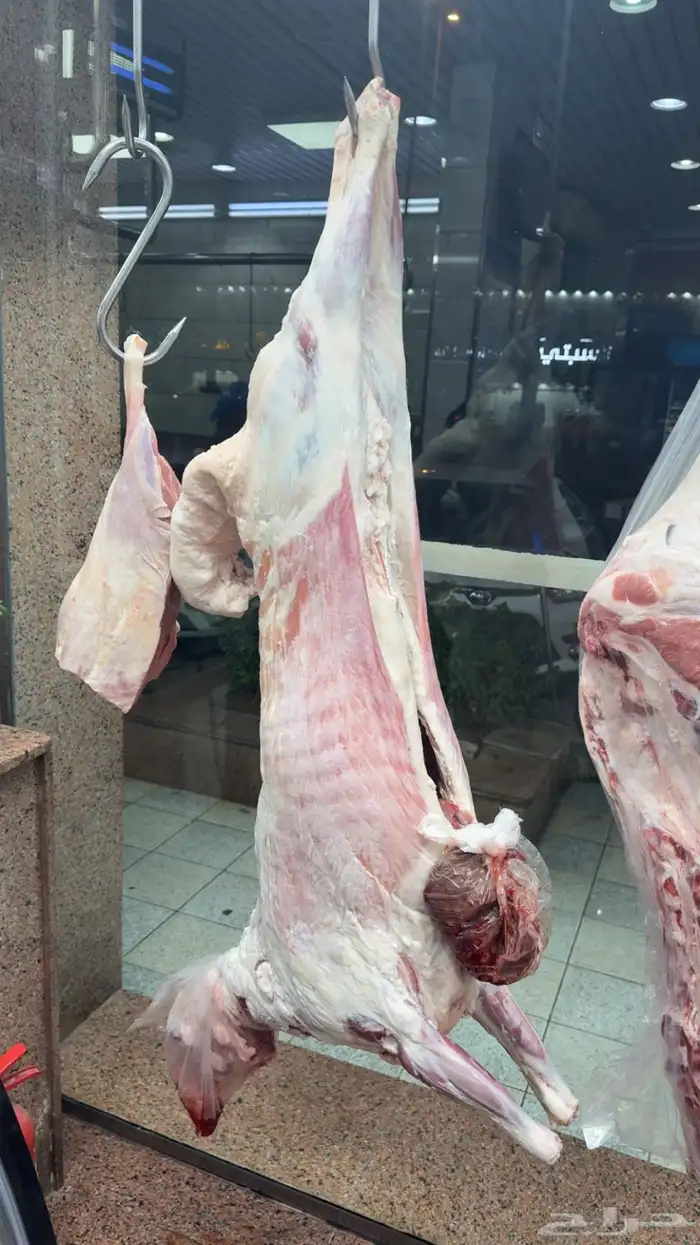 نعيمي بلدي جبر   حاشي بلدي لباني 22