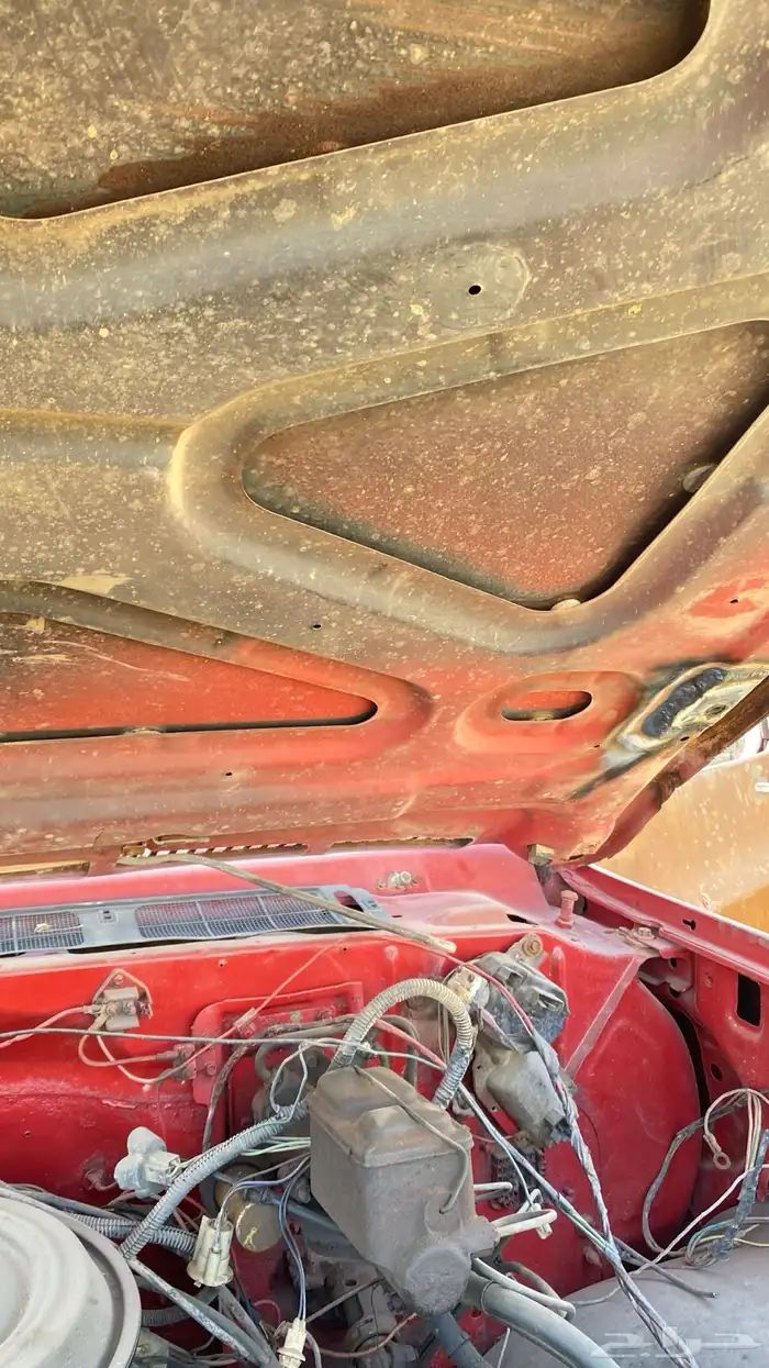 جمس حوض 78 بهبهاني مشروع تجديد 11