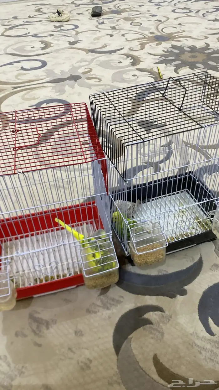 للبيع التواصل 0