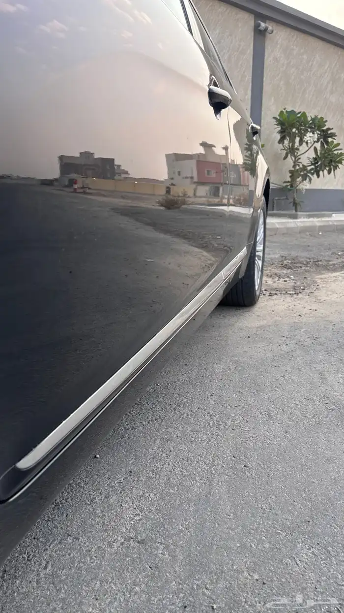 كادينزا 2015 8