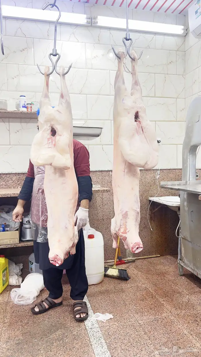 عرض خاص نعيمي كشميري كامل ب800 0