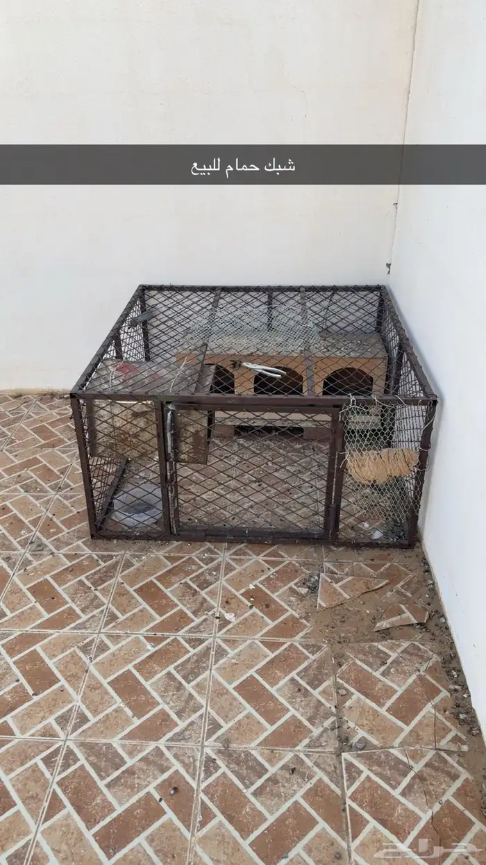 شبك دجاج للبيع 0