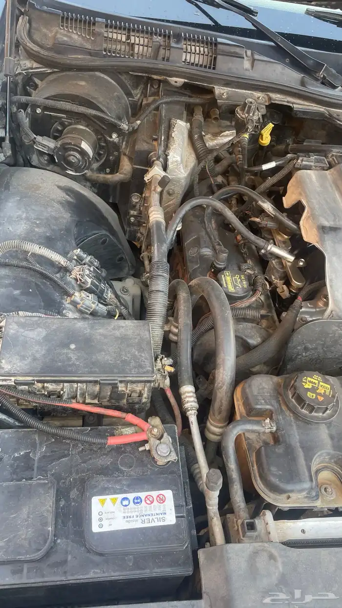 فورد 2010 بوليسي 1