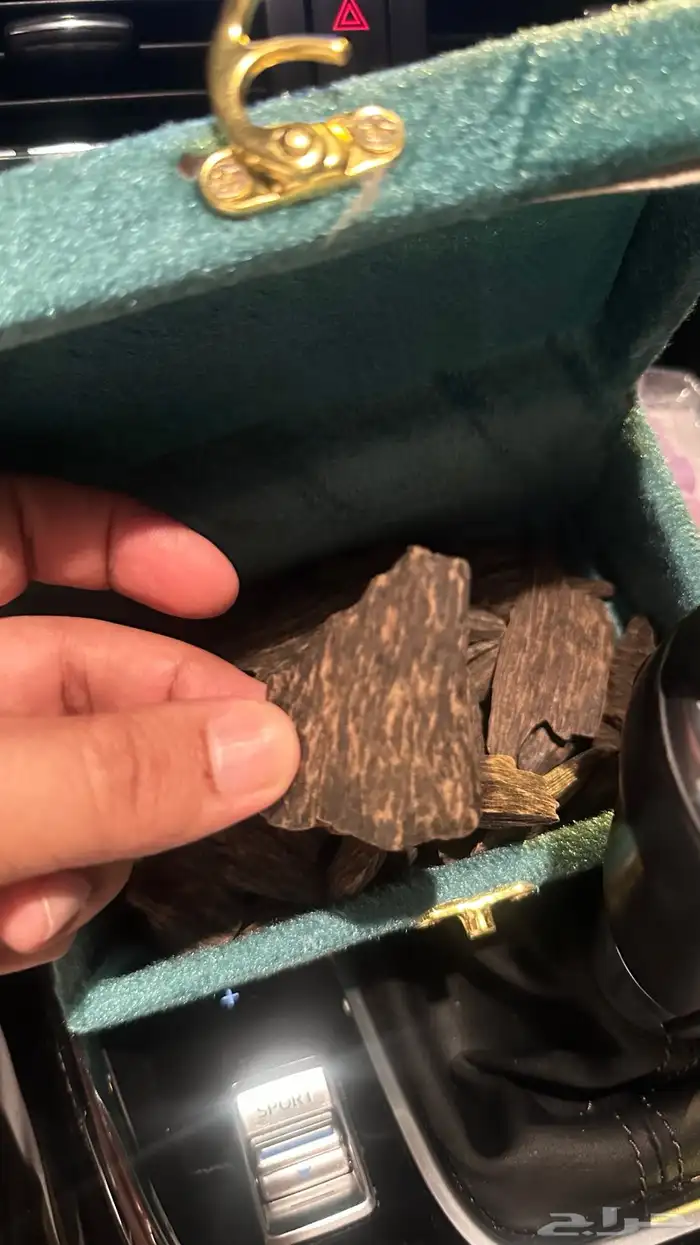 عود كلمنتان بنتلي محسن درجة أولى 1