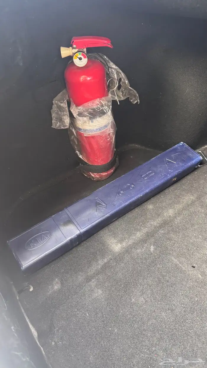 كادينزا 2015 12