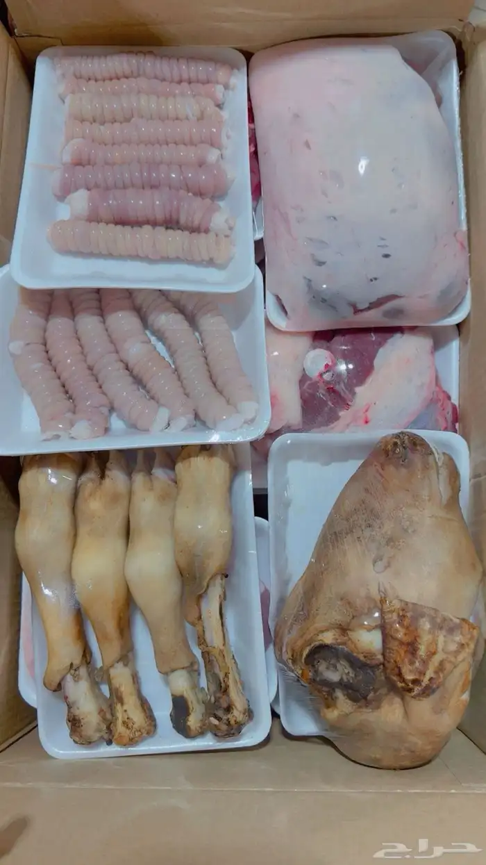 ذبائح حائل 4