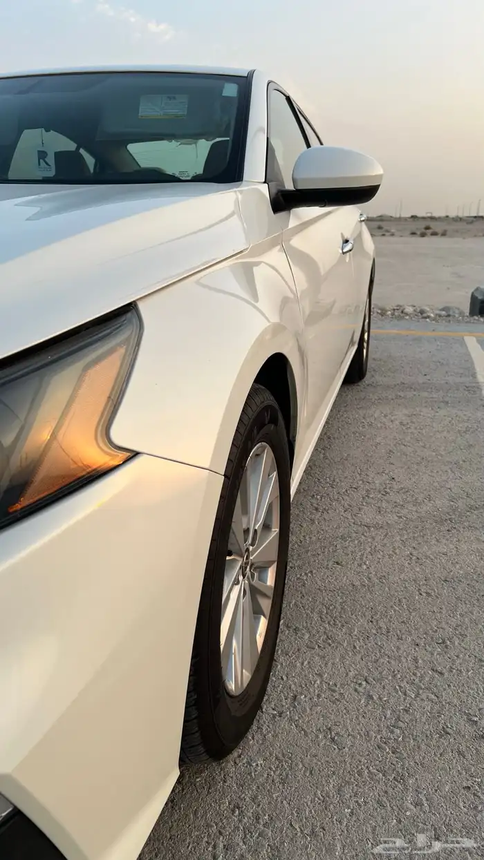 التيما 2022 مالك اول بلد 14